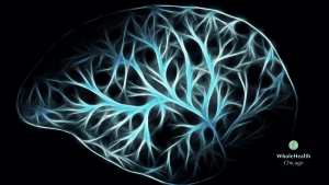 Leaky Brain